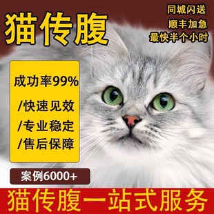猫传腹针剂猫咪传腹口服片猫咪特消腹水干湿性腹膜炎抑制剂油水性