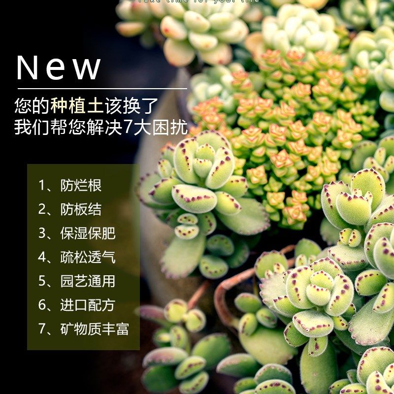 多肉彩虹石纯颗粒绿沸石火山石麦饭石虹彩石赤玉土多肉专用铺面石,鲜花速递/花卉仿真/绿植园艺,介质/营养土,淘宝优惠券,粉丝福利购,淘宝优惠卷