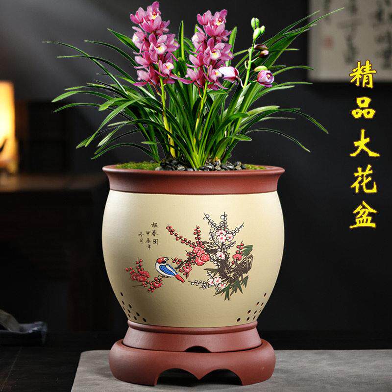 精品紫砂花盆带底座大口径君子兰花盆墨兰建兰群兰客厅大花蕙兰盆