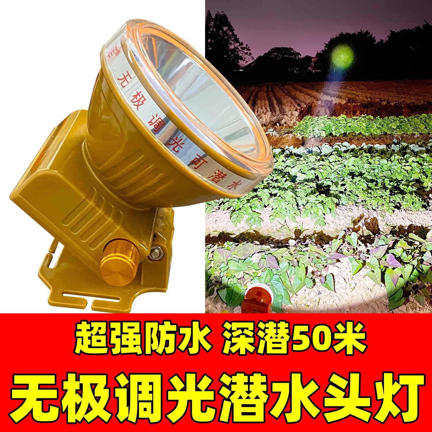 潜水头灯专业水抓鱼强光LED超亮防水小灯头戴式赶海手电筒艾格菲