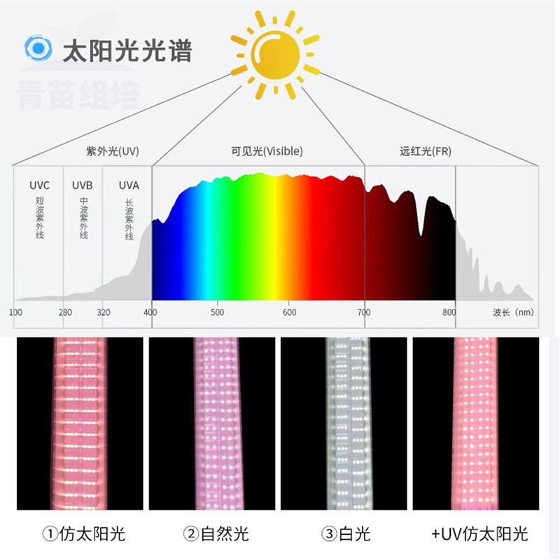 杭州LED植物生长灯全光谱仿太阳光室内种植补光灯高亮度节能灯