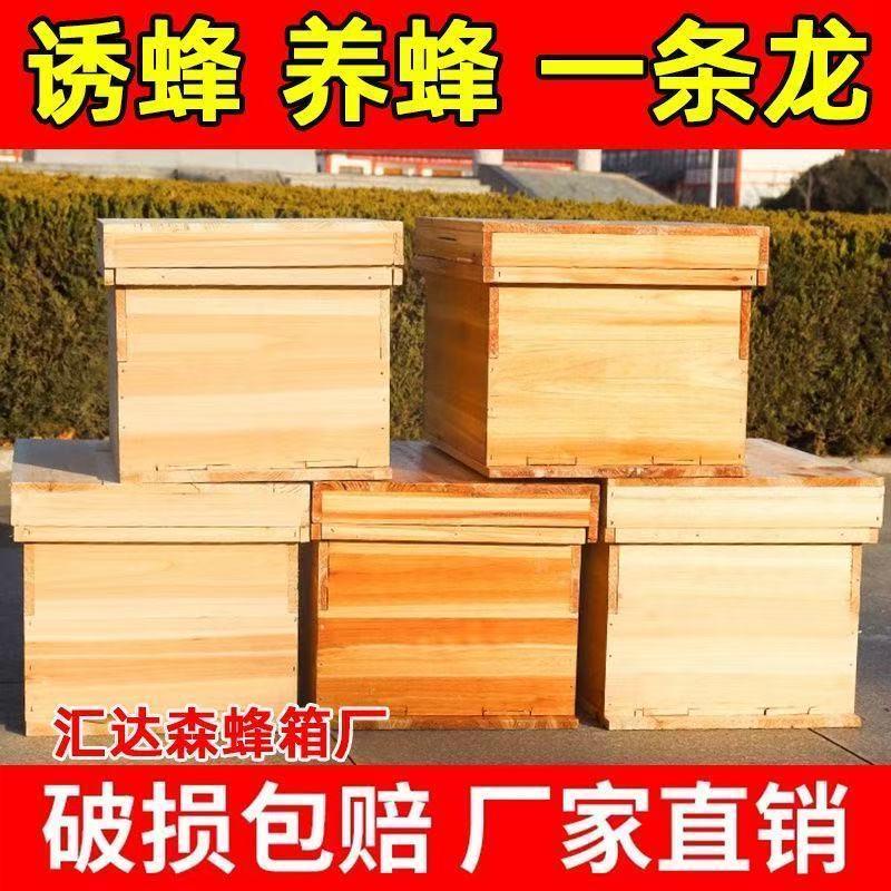 中蜂蜂箱七框杉木养蜂箱烘干标准工具蜜蜂全套一整套箱子诱蜂箱