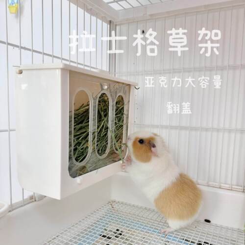 兔兔用品｜拉士格压克力兔子草架｜兔兔荷兰猪豚鼠