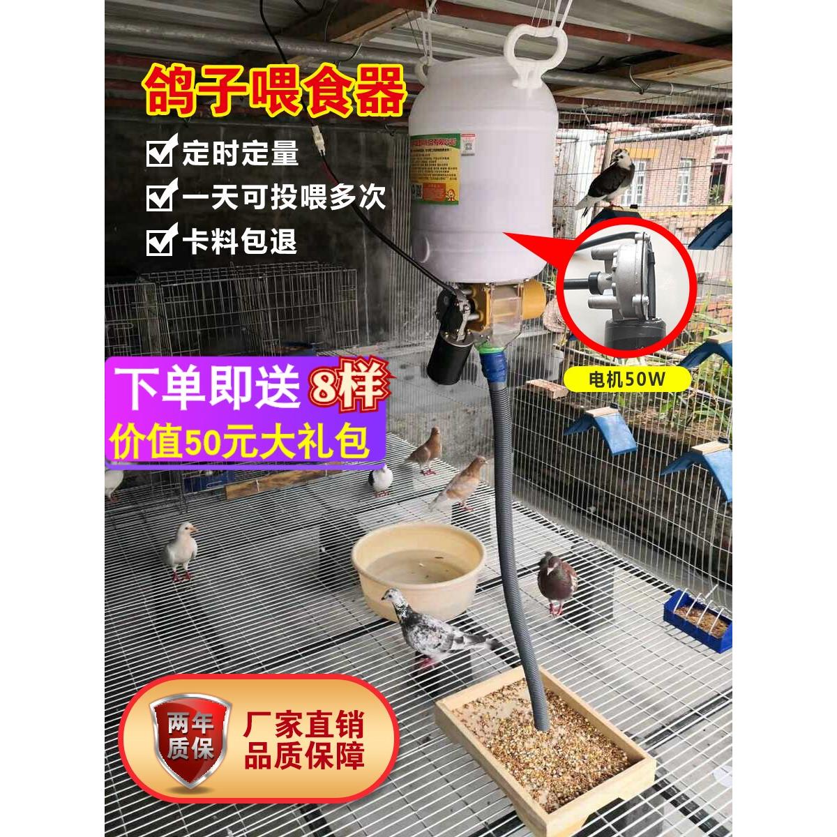 鸽子用品自动喂食器定时定量投食器喂料机信鸽观赏鸽鸡鸭鹅狗鱼猫