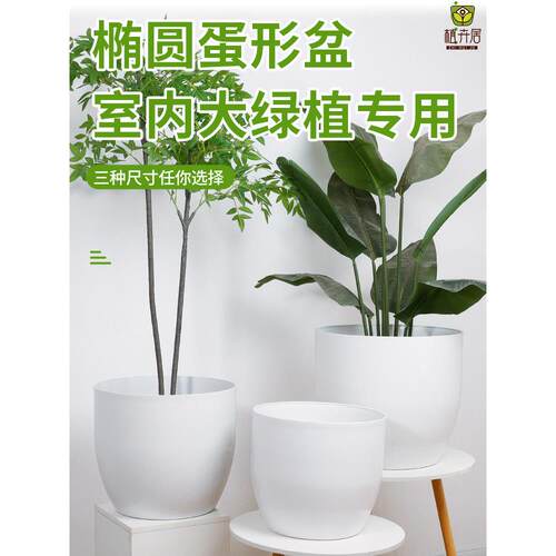 斯堪的纳维亚简单易接近豪华高端椭圆形蛋形花盆加厚家庭客厅大型