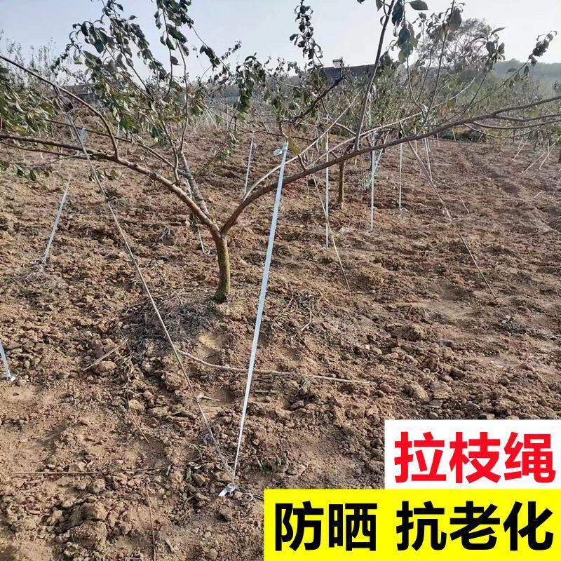 防老化果树拉枝专用绳布条拉绳拉树枝定型果园吊枝绳固定绑树绳子