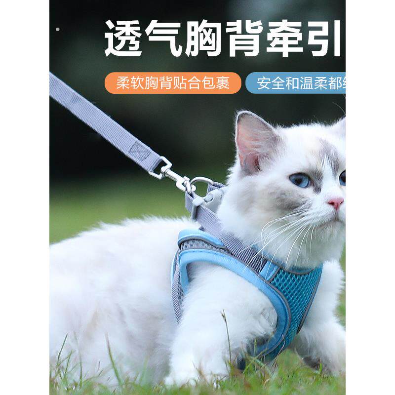 猫咪牵引绳防挣脱外出专用透气胸背牵引绳春夏外出背心式溜猫神器