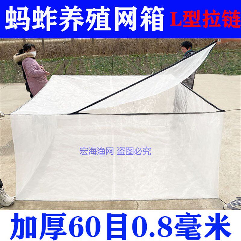 加厚60目泥鳅黄鳝鱼加盖网箱水蛭牛蛙水产养殖网箱蚂蚱防逃网箱
