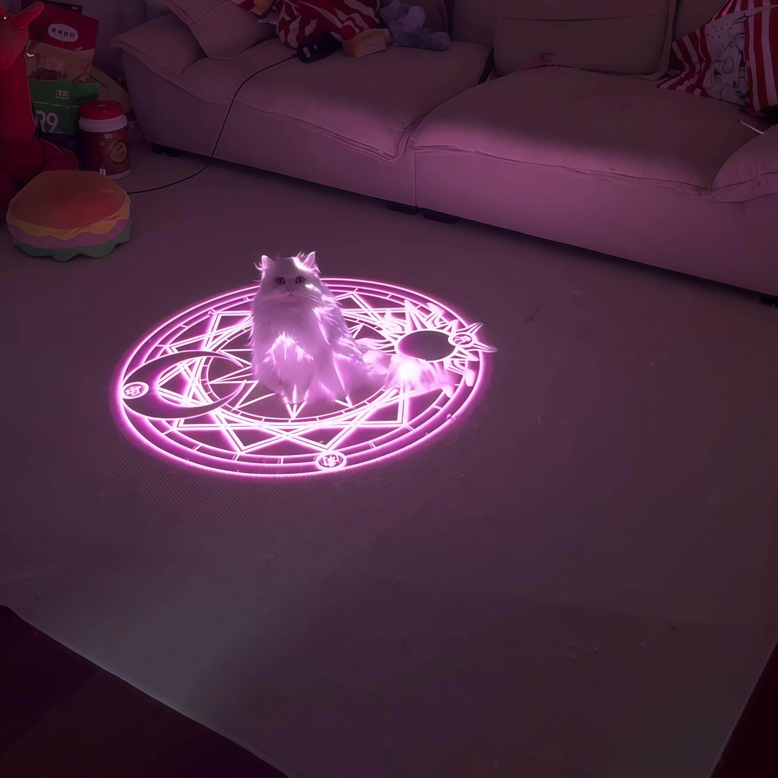 变身百变小猫魔法阵投影灯入户感应灯猫咪出片神器氛围装饰灯创意