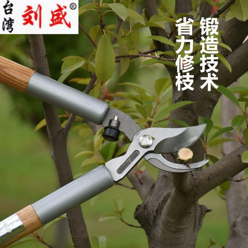 台湾刘盛粗枝剪刀锻造木柄大力士园林修枝剪果树剪省力剪厂家直销