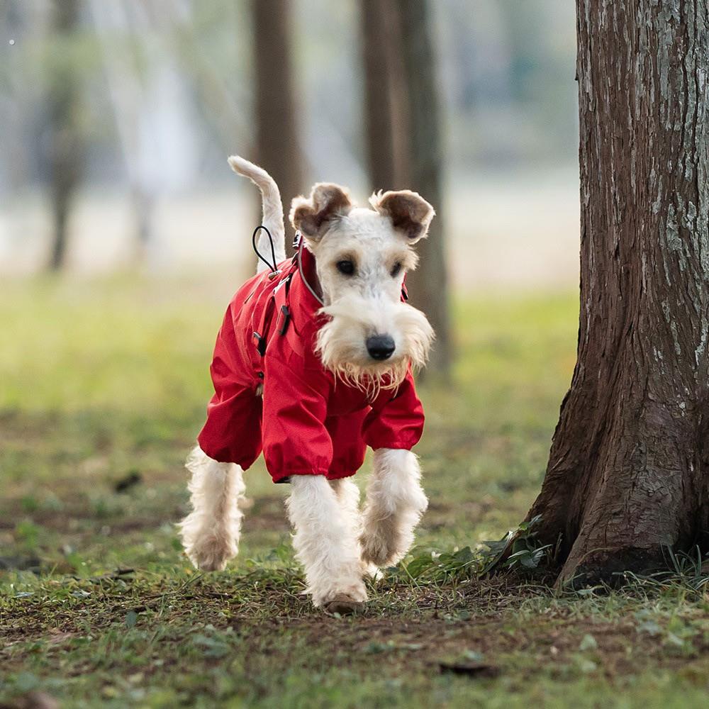 狗狗防水冲锋衣中小型犬四脚雨衣户外徒步防风衣服可牵引宠物衣服