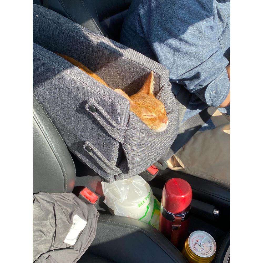 【车载好物】中控车载猫窝狗窝长途扶手箱猫咪垫子舒适外出可拆洗