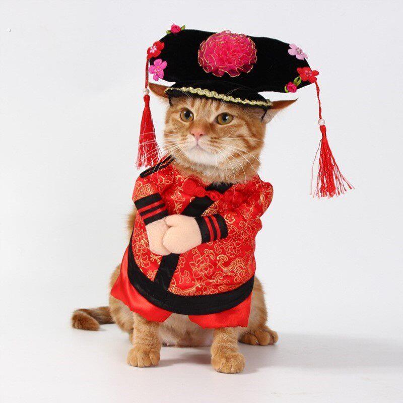 猫衣服搞怪专用服饰搞笑咪狗狗薄款小猫可爱柯基宠物装