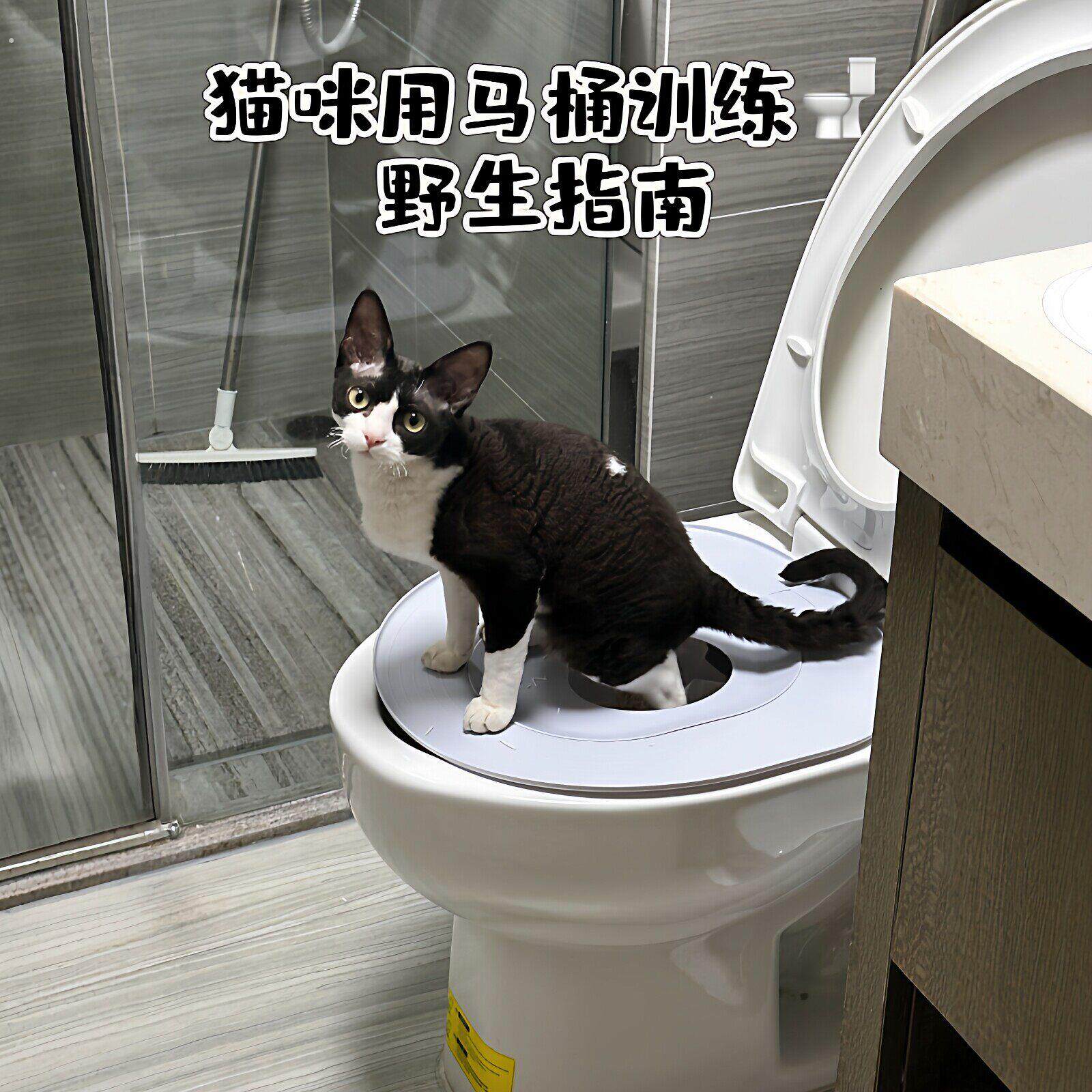 告别猫砂盆!猫咪马桶训练器环保易清洗防外溅款宠物坐便器引导垫