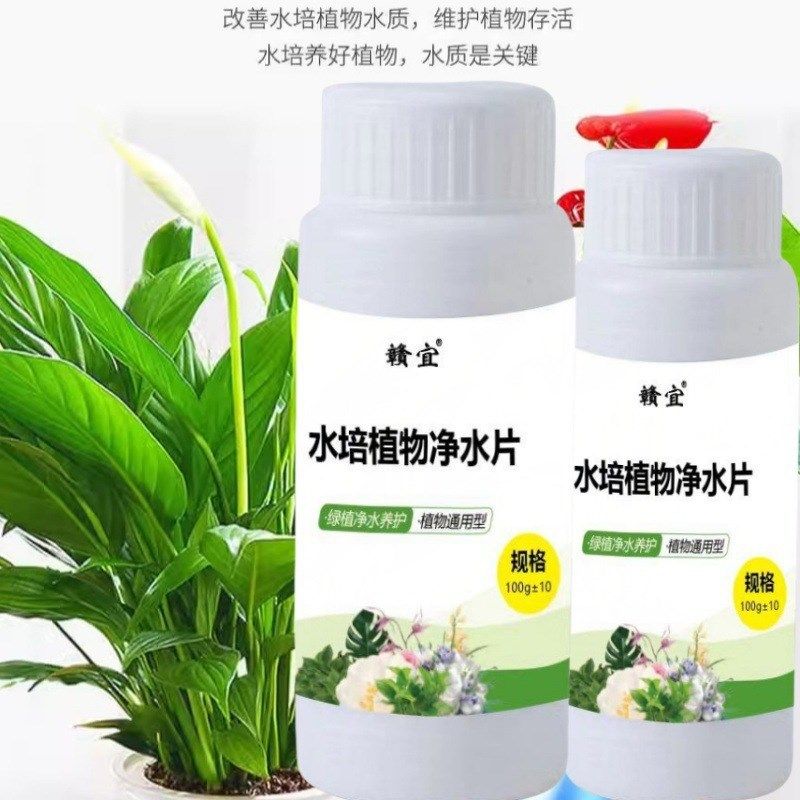 水培植物净水片除臭杀菌消毒富贵竹碗睡莲专用净化水质鲜花保鲜片,鲜花速递/花卉仿真/绿植园艺,家庭园艺肥料,淘宝优惠券,粉丝福利购,淘宝优惠卷