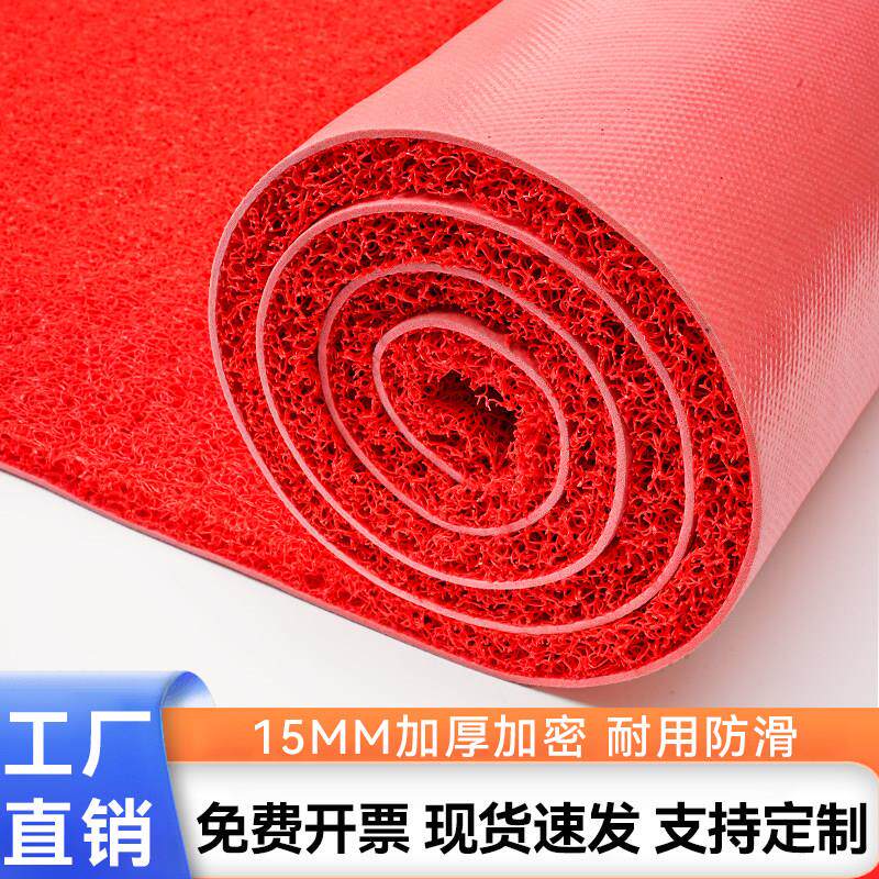 地毯商用加厚丝圈脚垫门口防滑防水除尘门垫门外迎宾进门入户地垫