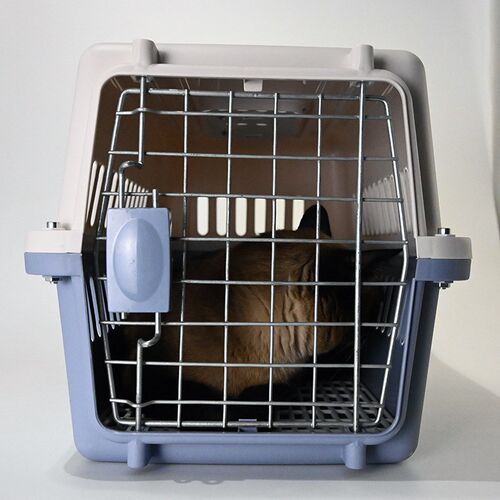 国航猫咪航空箱宠物托运箱犬用猫笼子便携手提外出猫包狗狗狗箱子