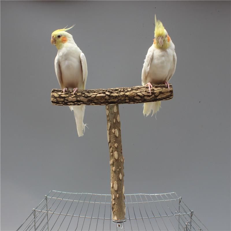 鸟笼多功能T形站杆野生花椒木树枝站杆站棒磨爪棒杆鸟笼顶站杆,宠物/宠物食品及用品,鸟禽其他,淘宝优惠券,粉丝福利购,淘宝优惠卷