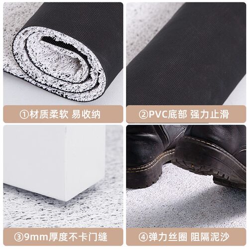 露比loopy入户门地垫丝圈门垫进门垫子除尘防滑脚垫客厅玄关家用
