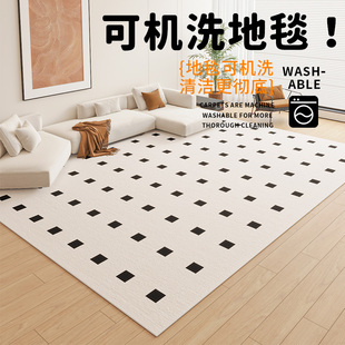 冠驰客厅地毯 简约温馨双层可机洗拆洗水洗地毯侘寂风沙发茶几毯