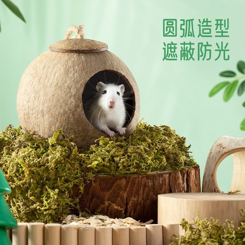 仓鼠窝椰壳躲避屋夏天降温造景用品金丝熊房子别墅花枝鼠小窝,宠物/宠物食品及用品,窝,淘宝优惠券,粉丝福利购,淘宝优惠卷
