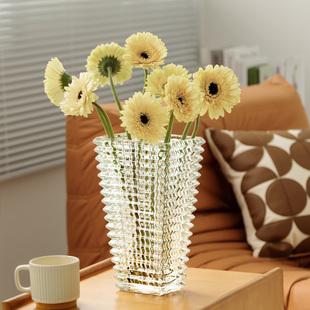 水晶玻璃花瓶摆件饰品客厅插花网红高级感透明摆件鲜花玫瑰水养大