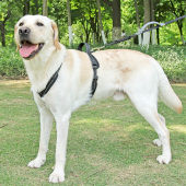 狗狗牵引绳背心式 拉布拉多边牧胸背带中小型犬柴犬泰迪遛狗绳狗链