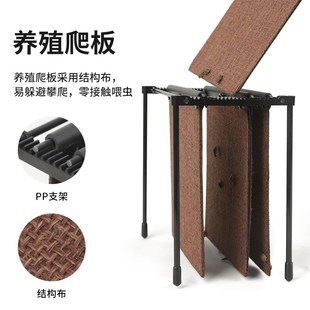 杜比亚蟑螂饲养盒爬虫箱爬宠养殖携带箱昆虫躲避专用油葫芦笼蛐蛐