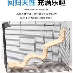 鹦鹉玩具秋千实木云梯攀爬梯子虎皮牡丹玄凤磨爪站杆鸟笼配件用品