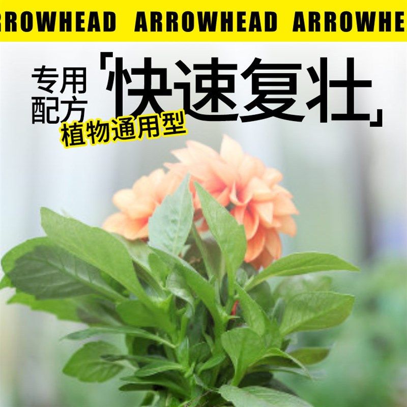 植物度夏烂根灵盆栽绿植花卉防治烂根专用药多肉发财树烂根剂花肥,鲜花速递/花卉仿真/绿植园艺,家庭园艺肥料,淘宝优惠券,粉丝福利购,淘宝优惠卷