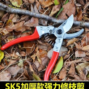 买一送一花剪修枝剪树枝剪刀园艺剪刀粗枝剪园林剪果树剪工具包邮
