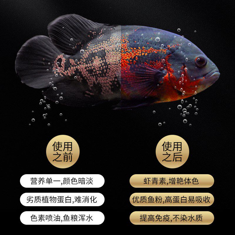 嗨皮鱼地图鱼专用饲料地图鱼专用鱼食鱼粮观赏鱼慈鲷增色通用颗粒