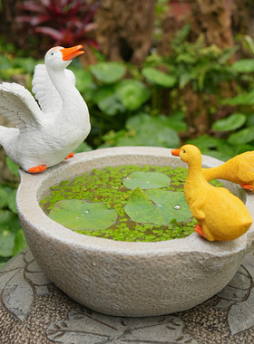 户外花园装饰品庭院园艺景观摆件绿萝水仙水养装饰铜钱草水培花盆