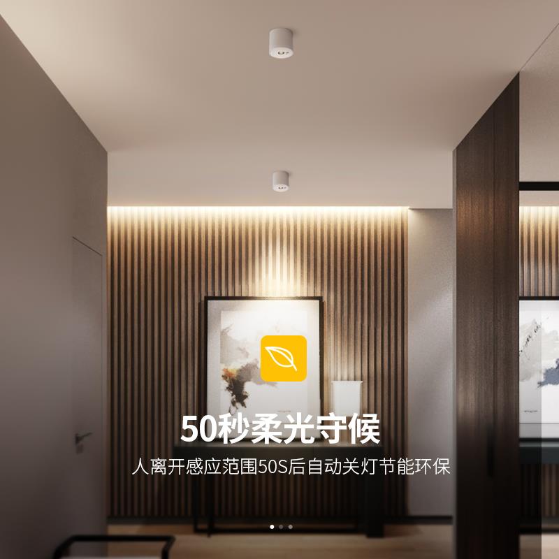 明装射灯人体感应led天花灯吸顶家用入户cob筒灯玄关过道防眩孔灯
