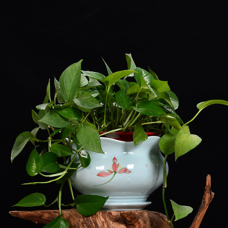 特大号绿萝花盆陶瓷带托盘青瓷室内客厅植物绿植盆栽盆景兰花盆