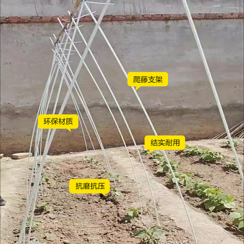 植物支撑杆支架拱门月季西瓜葡萄花柱黄瓜豆角丝瓜爬藤架花架拱形