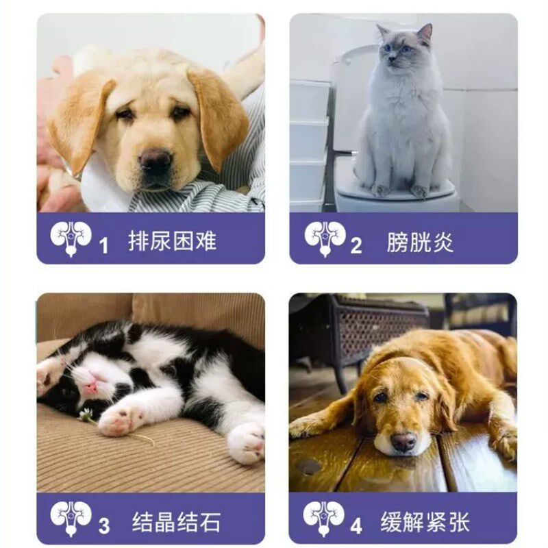 派维石霖净宠物尿路调理溶液宠物狗猫咪结石化排石排尿困难膀胱炎