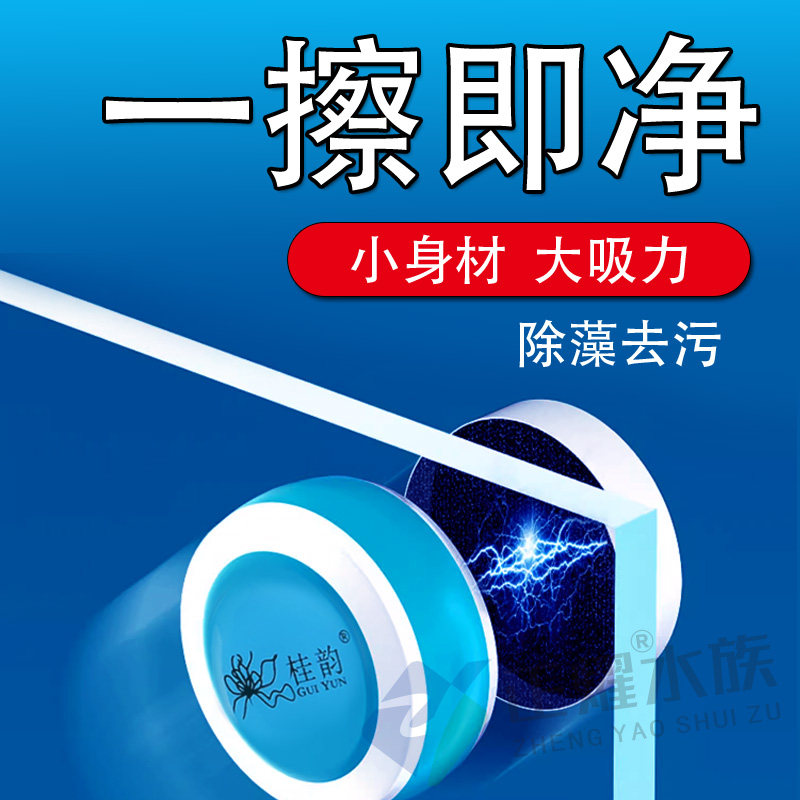 鱼缸刷迷你磁力刷强磁无死角双面擦鱼缸神器内壁玻璃清洁除藻工具