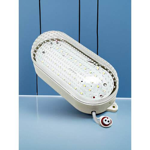 LED冷库专用灯ZKLED-EX-401/402冰库地窖厂房防水防冻照明灯具10W