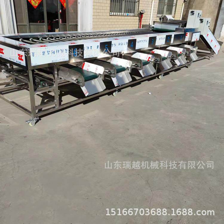 商用千禧果分选机不锈钢土豆筛选机工业胡萝卜分级机滚杠选果机,清洗/食品/商业设备,其他食品加工设备,淘宝优惠券,粉丝福利购,淘宝优惠卷