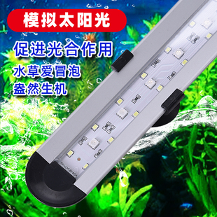 专业鱼缸灯LED全光谱水草灯小型节能水族箱高亮照明灯造景灯usb灯