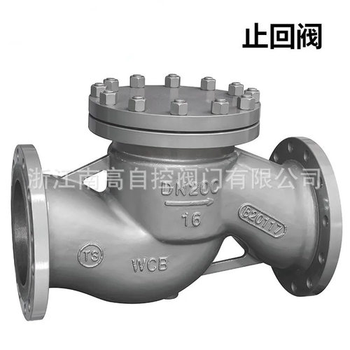 铸钢升降式止回阀 H41H-25C 防倒流水泵出口止回阀 DN125