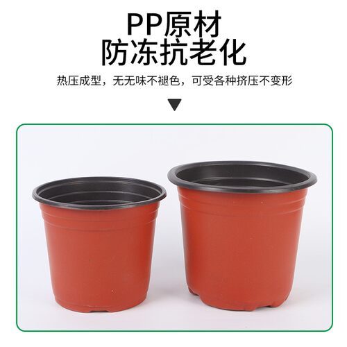 双色盆简易加厚一次性塑料花盆育苗盆大号营养钵培育盆多肉种植盆
