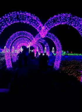 led彩灯紫色闪灯串灯户外防水led灯串圣诞灯满天星彩灯装饰灯包邮