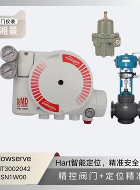 费希尔Fisher 19A3747X022阀门配件密封环 可用于neles（申经理）