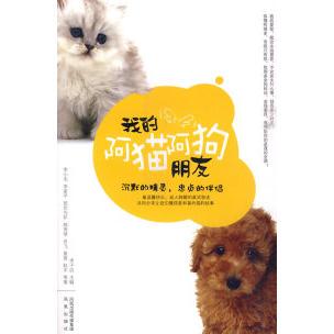 【正版图书】我的阿猫阿狗朋友9787807297482李家平李子迟李小龙凤凰出版社
