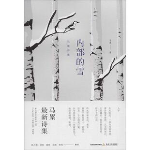 【正版图书】天星诗库系列内部的雪马累诗集9787537860550马累北岳文艺出版社