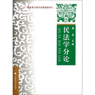 【正版书籍】民学分理论实务案例黄萍9787562037590中国政法大学出版社