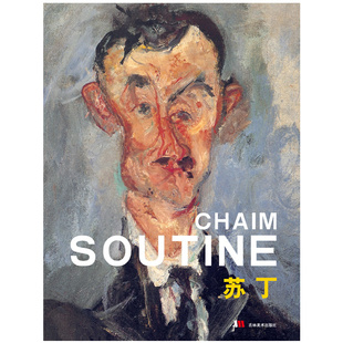 【正版图书】苏丁王兴吉吉林美术出版社9787538682113