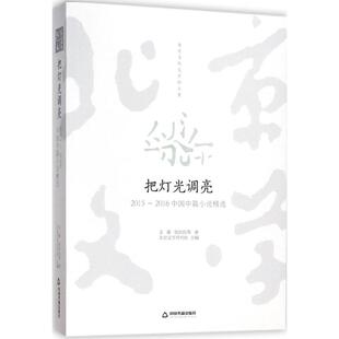 【正版图书】把灯光调亮20152016中国中篇小说精选北京文学月刊社著9787506862974中国书籍出版社